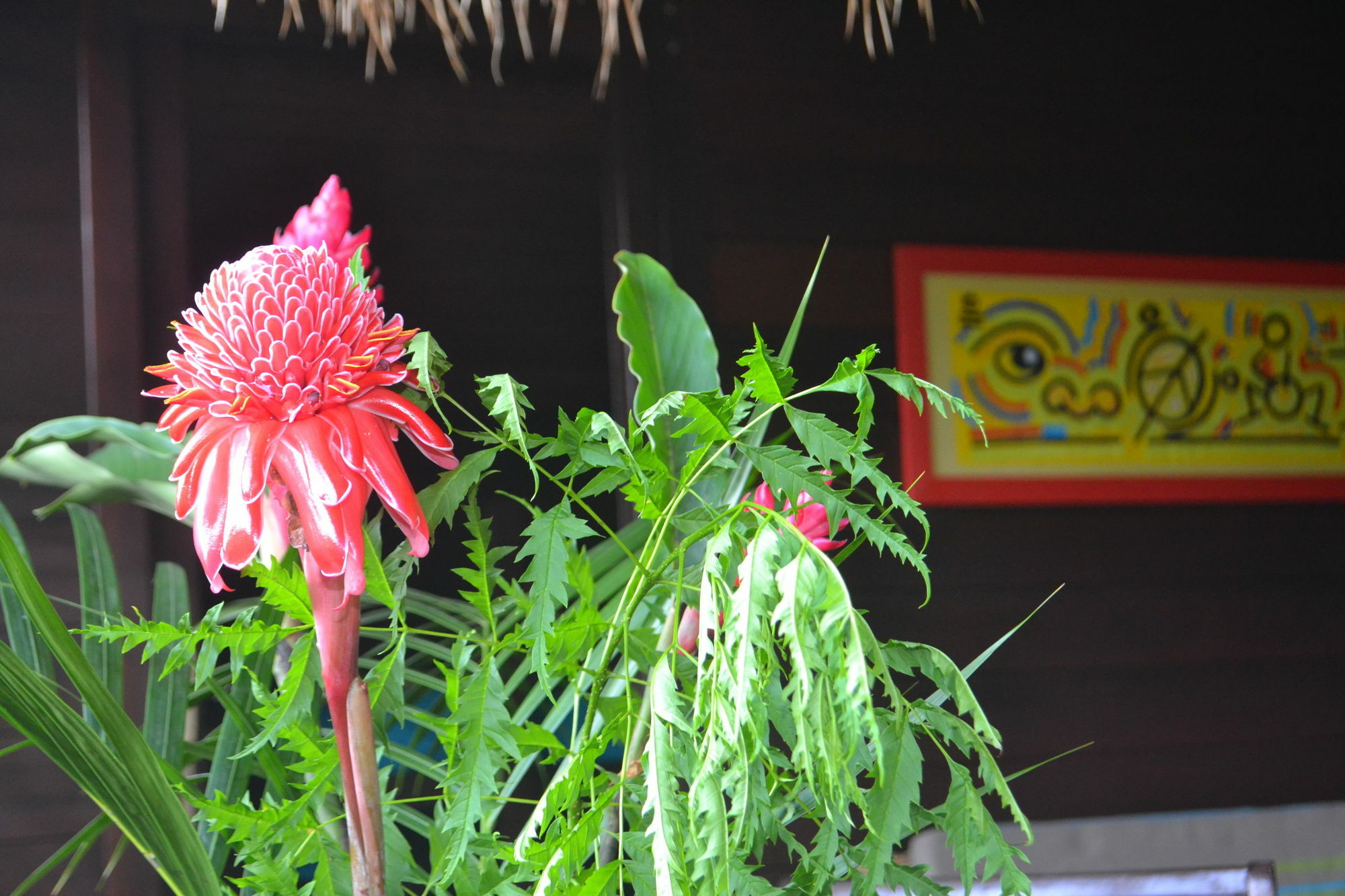 Piton Bungalows Ecolodges Десе Екстериор снимка